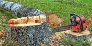 Reliable Tahlequah, OK Tree Removal and Landscaping Services Solutions